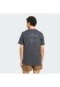Camiseta Senderismo Gris Adidas Graphic Terrex Mountain Hombre de adidas Performance