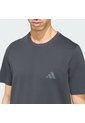 Camiseta Senderismo Gris Adidas Graphic Terrex Mountain Hombre de adidas Performance