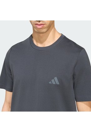 Camiseta Senderismo Gris Adidas Graphic Terrex Mountain Hombre