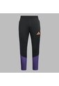 Pantalón Adidas Hombre Training Tiro 26 Competition - Negro de adidas Performance
