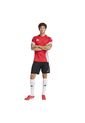 Adidas Performance Camiseta Adidas Hombre Entrenamiento De Competición-Rojo-Gris Camiseta de adidas Performance