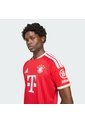 Camiseta Fútbol Roja Adidas Local Fc Bayern 26/27 Hombre de adidas Performance