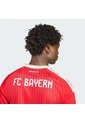 Camiseta Fútbol Roja Adidas Local Fc Bayern 26/27 Hombre de adidas Performance