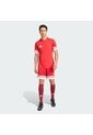 Camiseta Fútbol Roja Adidas Squadra 25 Hombre de adidas Performance