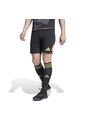 Adidas Performance Shorts Adidas Hombre T24 P Gk Sho - Negro Pantaloneta de adidas Performance