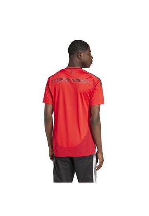Adidas Performance Camiseta Adidas Hombre Local Fc Bayern 24/25 - Roja Camiseta