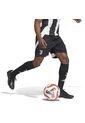 Adidas Performance Shorts Adidas Hombre Primera Equipacion Juventus 24/25 - Negro Pantaloneta de adidas Performance
