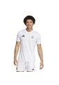Adidas Performance Camiseta Adidas Hombre Prepartido Real Madrid - Blanco Camiseta de adidas Performance
