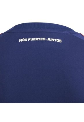 Adidas Performance Camiseta Adidas Mujer Tercera Dim 2024 - Azul Camiseta