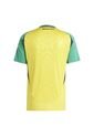 Adidas Performance Camiseta Adidas Hombre Local  Jamaica 24 - Amarillo - Verde Camiseta de adidas Performance