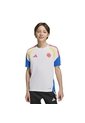 CAMISETA ADIDAS NIÑO COLOMBIA ENTRENAMIENTO 2026 JZ6231 Talla L de adidas Performance