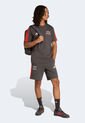 Camiseta adidas Performance TEAM DNA Audi Revolut F1 Team Marrón de adidas Performance