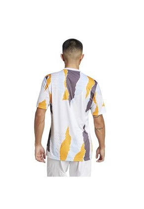 Adidas Performance Camiseta Adidas Hombre Real Madrid 24/25 Pre-Match Jersey-Blanco-Multicolor Camiseta