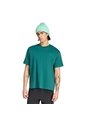 Camiseta Verde Adidas Graphic Gráfica Terrex Wanderer Verde de adidas Performance