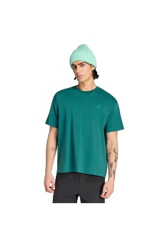 Camiseta Verde Adidas Graphic Gráfica Terrex Wanderer Verde adidas Performance