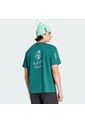Camiseta Verde Adidas Graphic Gráfica Terrex Wanderer Verde de adidas Performance