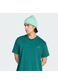 Camiseta Verde Adidas Graphic Gráfica Terrex Wanderer Verde de adidas Performance