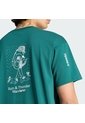 Camiseta Verde Adidas Graphic Gráfica Terrex Wanderer Verde de adidas Performance
