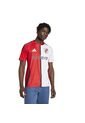 Adidas Performance Camiseta Adidas Hombre River Plate Tercera 24/25 -Blanco-Rojo Camiseta de adidas Performance
