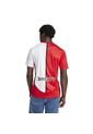 Adidas Performance Camiseta Adidas Hombre River Plate Tercera 24/25 -Blanco-Rojo Camiseta de adidas Performance