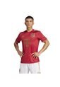 Adidas Performance Camiseta Adidas Hombre Aniversario FC Bayern-Rojo Camiseta de adidas Performance
