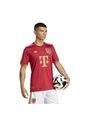 Adidas Performance Camiseta Adidas Hombre Aniversario FC Bayern-Rojo Camiseta de adidas Performance