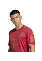 Adidas Performance Camiseta Adidas Hombre Aniversario FC Bayern-Rojo Camiseta de adidas Performance