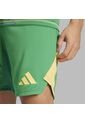 Shorts Adidas Hombre T24 P Gk - Verde de adidas Performance