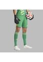 Shorts Adidas Hombre T24 P Gk - Verde de adidas Performance