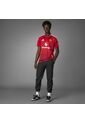 Camiseta Adidas Hombre Local Manchester United 24/25 - Rojo de adidas Performance