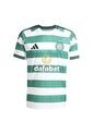 Adidas Performance Camiseta Adidas Hombre Local Celtic FC 25/26  - Verde Camiseta de adidas Performance
