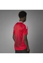 Camiseta Adidas Hombre Local Manchester United 24/25 - Rojo de adidas Performance