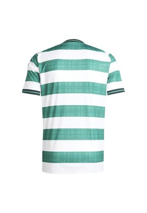 Adidas Performance Camiseta Adidas Hombre Local Celtic FC 25/26  - Verde Camiseta