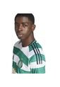 Adidas Performance Camiseta Adidas Hombre Local Celtic FC 25/26  - Verde Camiseta de adidas Performance