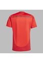 Camiseta Adidas Hombre Local Fc Bayern 24/25 - Roja de adidas Performance