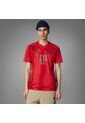 Camiseta Adidas Hombre Local Fc Bayern 24/25 - Roja de adidas Performance