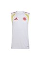 CAMISETA ADIDAS HOMBRE COLOMBIA ENTRENAMIENTO 2026 JZ6232 Talla XL de adidas Performance