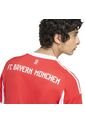 Adidas Performance Camiseta Adidas Hombre Local FC Bayern 25/26 - Rojo-Blanco Camiseta de adidas Performance