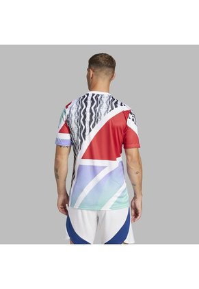 Camiseta Adidas Hombre PreMatch Arsenal 24-Blanca-Multicolor