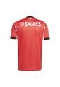 Adidas Performance Camiseta Adidas Hombre Local Del Benfica 25/26 - Rojo - Blanco Camiseta de adidas Performance