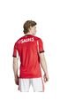 Adidas Performance Camiseta Adidas Hombre Local Del Benfica 25/26 - Rojo - Blanco Camiseta de adidas Performance