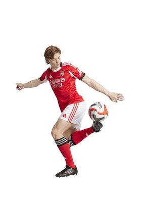 Adidas Performance Camiseta Adidas Hombre Local Del Benfica 25/26 - Rojo - Blanco Camiseta