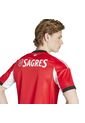 Adidas Performance Camiseta Adidas Hombre Local Del Benfica 25/26 - Rojo - Blanco Camiseta de adidas Performance