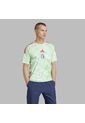 Camiseta Adidas Hombre Visitante De Italia 2025 - Verde de adidas Performance