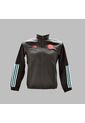 Chaqueta Adidas Hombre FCF Pre - Negro de adidas Performance