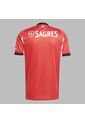 Camiseta Adidas Hombre Local Del Benfica 25 - Rojo - Blanco de adidas Performance