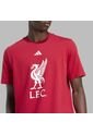 Camiseta Adidas Hombre Liverpool FC DNA - Rojo de adidas Performance