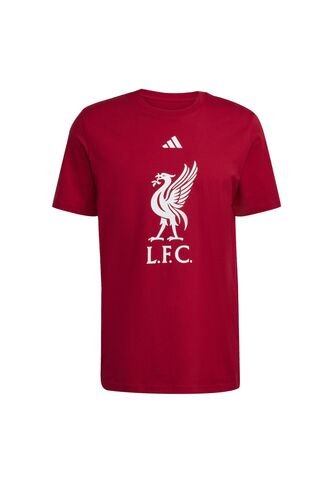Adidas Performance Camiseta Adidas Hombre Liverpool FC DNA - Rojo Camiseta adidas Performance