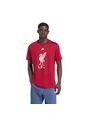 Adidas Performance Camiseta Adidas Hombre Liverpool FC DNA - Rojo Camiseta de adidas Performance