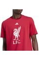 Adidas Performance Camiseta Adidas Hombre Liverpool FC DNA - Rojo Camiseta de adidas Performance